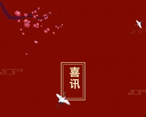 公司新闻
